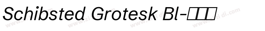 Schibsted Grotesk Bl字体转换